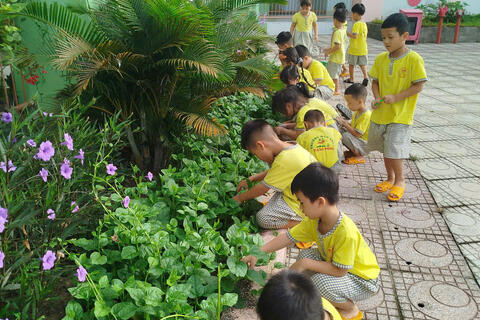 lơn 1
